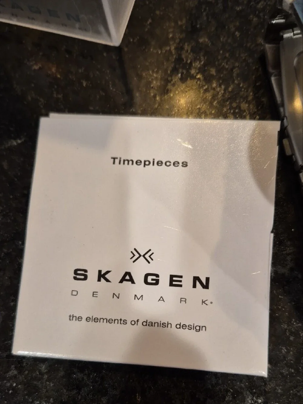 Skagen Men's Steel Bracelet Watch
